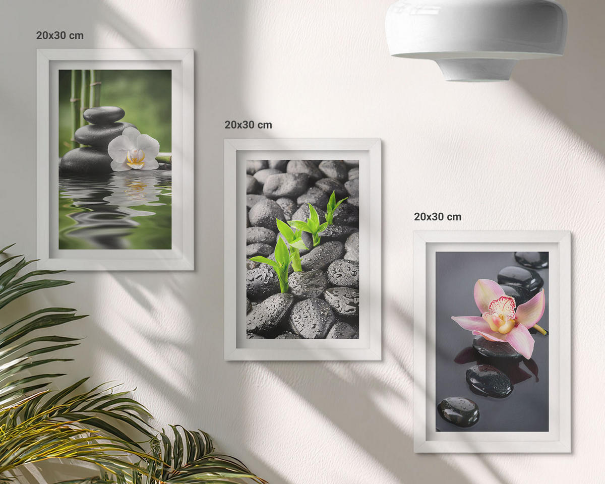 WANDBILDER 3er-Set - 20x30 cm Weißer Rahmen - Eine ruhige Zen-Komposition aus Blumen und Wasser - Weiß, Kunststoff (20/30cm) - ArtPrintCave