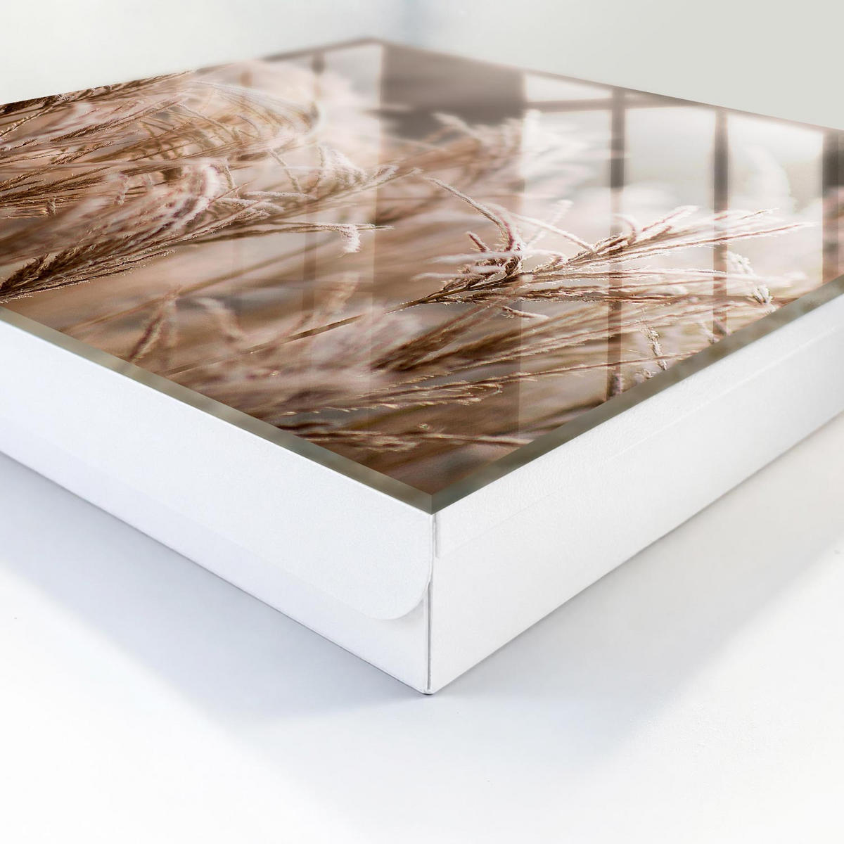 SCHLÜSSELBOX Weiß 30x30 cm – Türöffnung nach rechts - Gefrorenes Gras - Beige, Metall (30/30/5cm) - TULUP