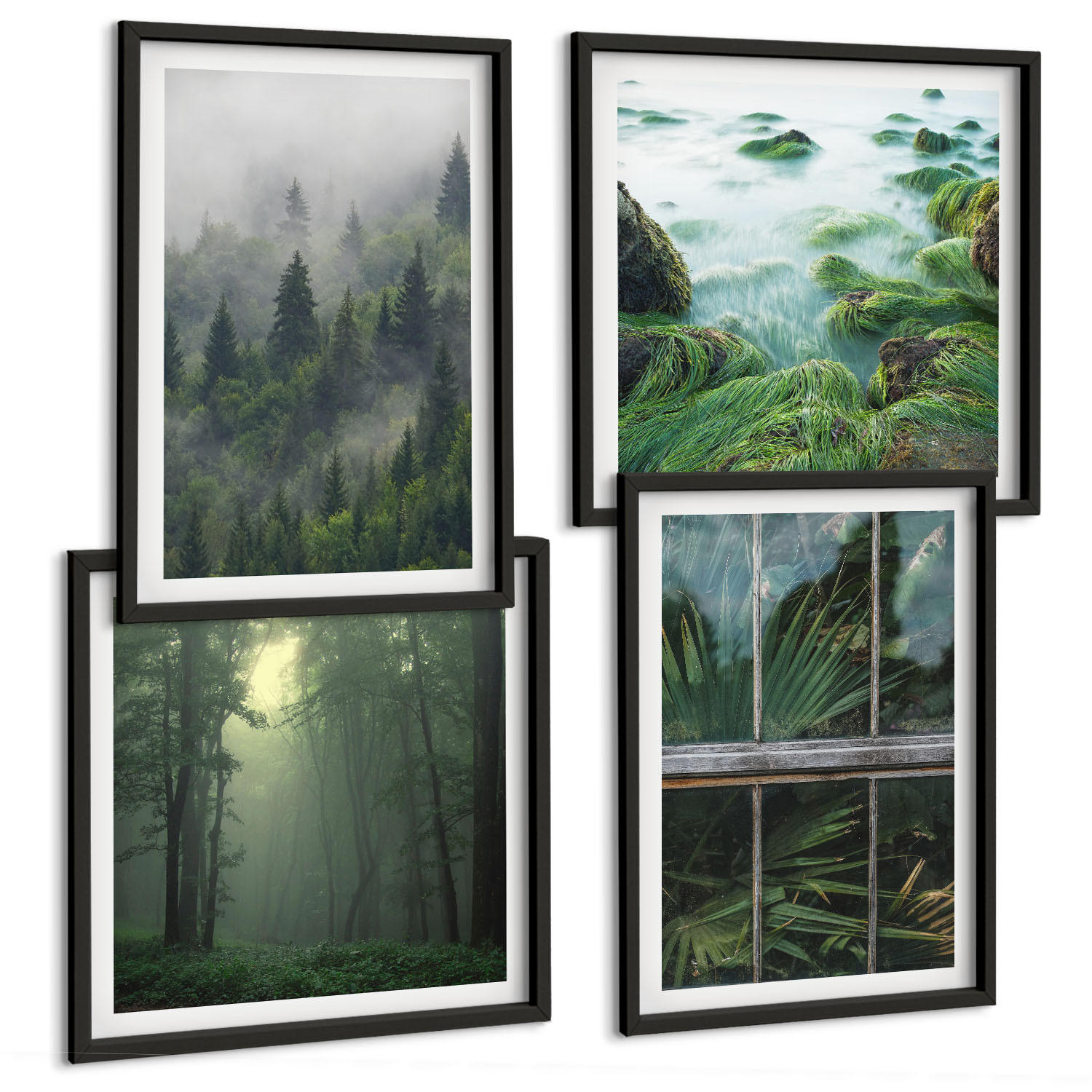 BILDER SET 4er Set - 50x50 cm & 40x60 cm Schwarzer Rahmen - Waldnebel, Fluss, Gewächshauspflanzen - Schwarz, Kunststoff (50/50cm) - TULUP