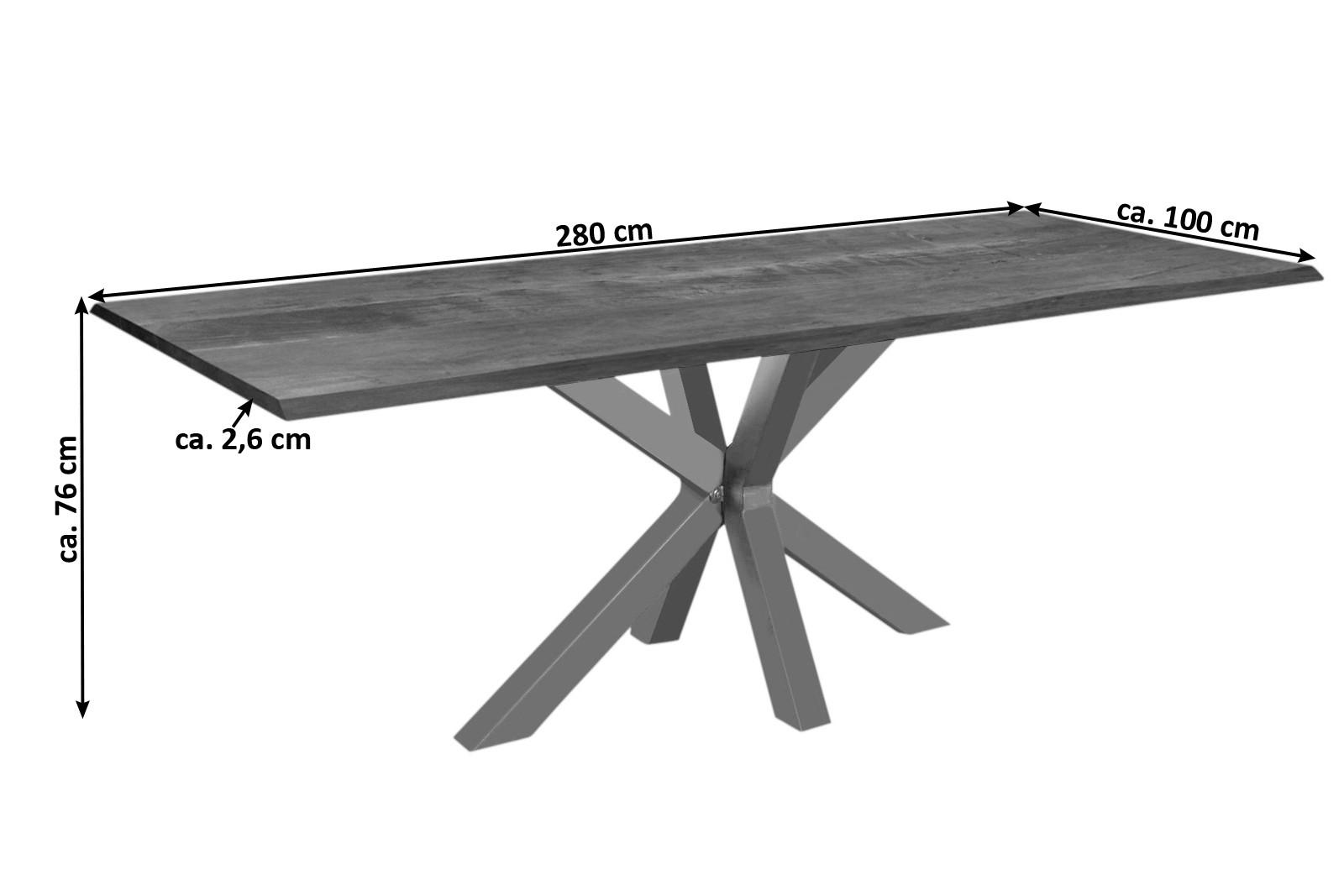 ESSTISCH SPYRO - Silberfarben/Braun, Holz/Metall (100/280/76cm) - SAM