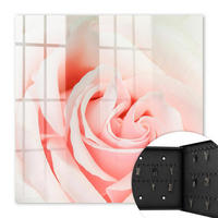 SCHLÜSSELBOX Schwarz 30x30 cm- Türöffnung nach rechts - Romantische Rose - Pink, Metall (30/30/5cm) - TULUP