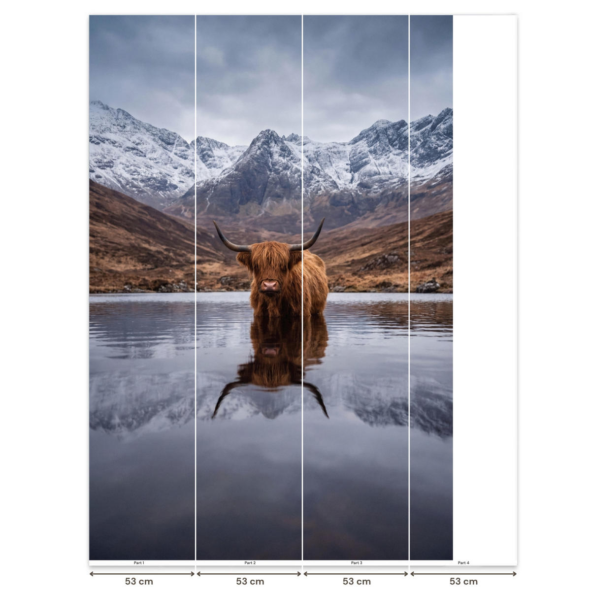 TAPETE - Schottischer Hochländer - Braun - Wasser - 180x280 cm - Braun, Papier (180/280cm) - OnlyWow
