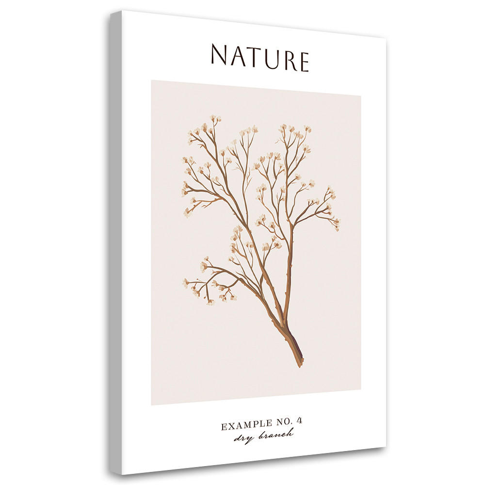 WANDBILD trockener zweig natur - Beige, Textil (40/60cm) - Feeby