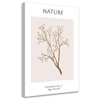 WANDBILD trockener zweig natur - Beige, Textil (40/60cm) - Feeby