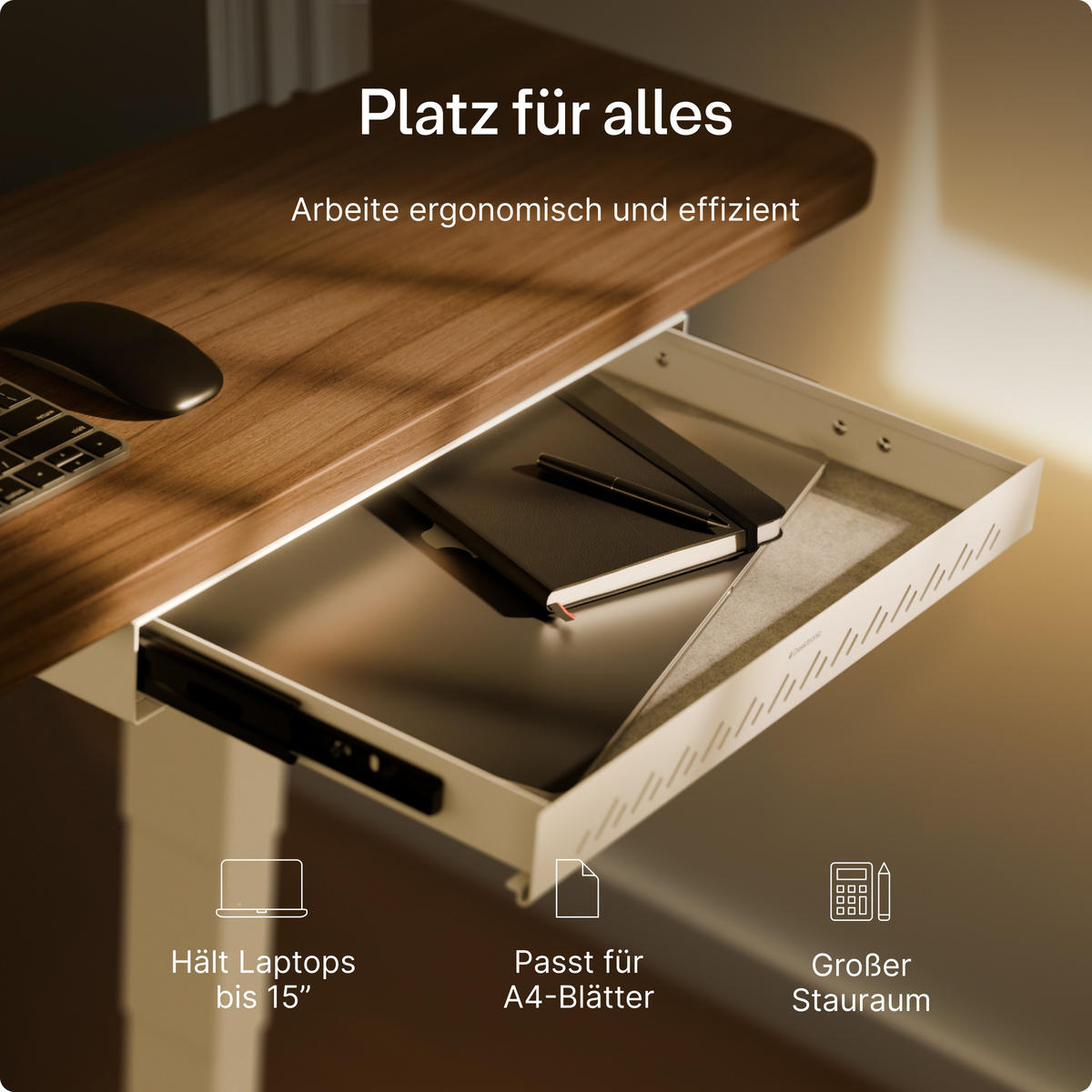 SCHUBLADEN-ORGANIZER unter dem Schreibtisch, 41x27x5cm Weiß - Weiß, Metall (41/27/5cm) - Desktronic