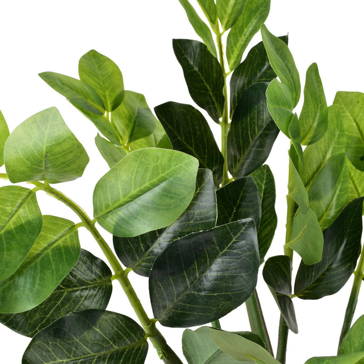 KUNSTBLUME Viridis grün 12.5/11.5/49 cm Kunststoff - Grün, Kunststoff (49cm) - Mondex