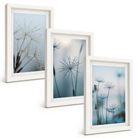 BILDER SET 3er Set - 20x30 cm Weißer Rahmen - Löwenzahn mit Wassertropfen - Weiß, Kunststoff (20/30cm) - TULUP