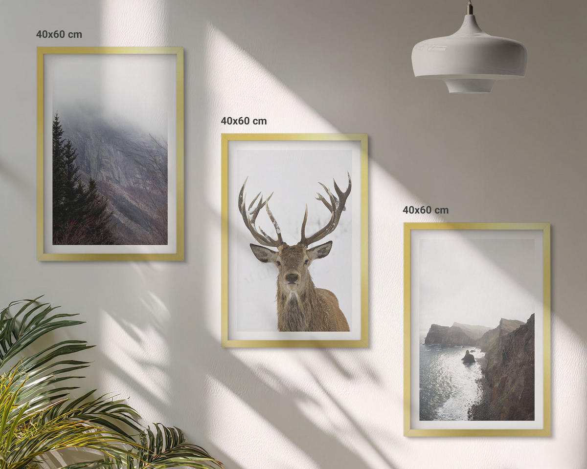 BILDER SET 3er Set - 40x60 cm Goldrahmen - Berglandschaft mit Hirschen - Goldfarben, Kunststoff (40/60cm) - TULUP