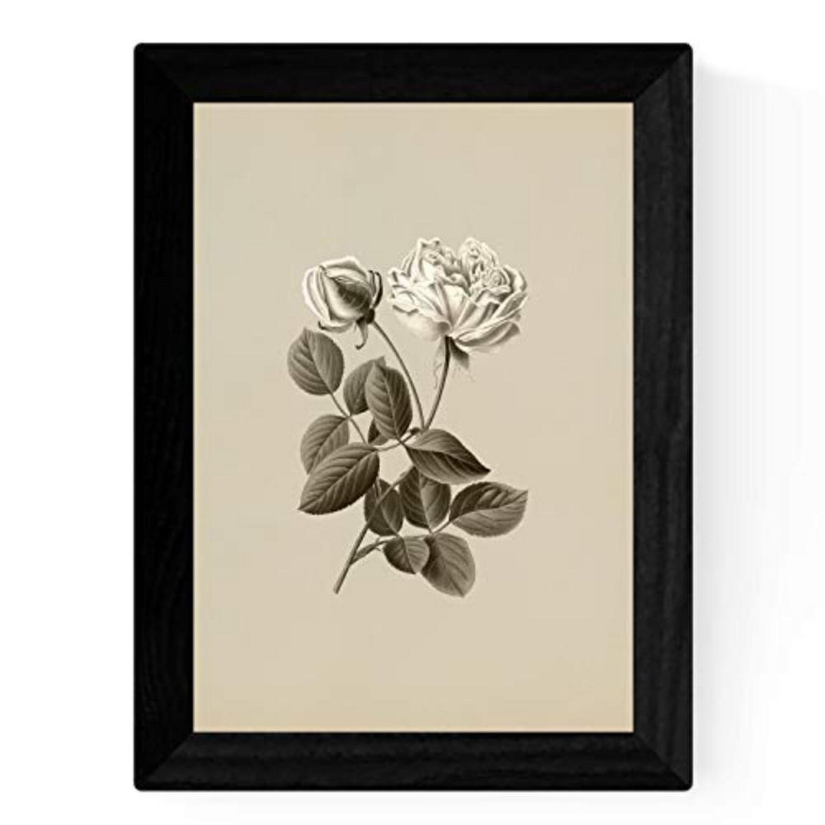 POSTER Set mit 4 Botanische Jahrgang Hintergrund Rosen A3 Rahmenlos - Klar, Papier (29.7/3cm) - Nacnic