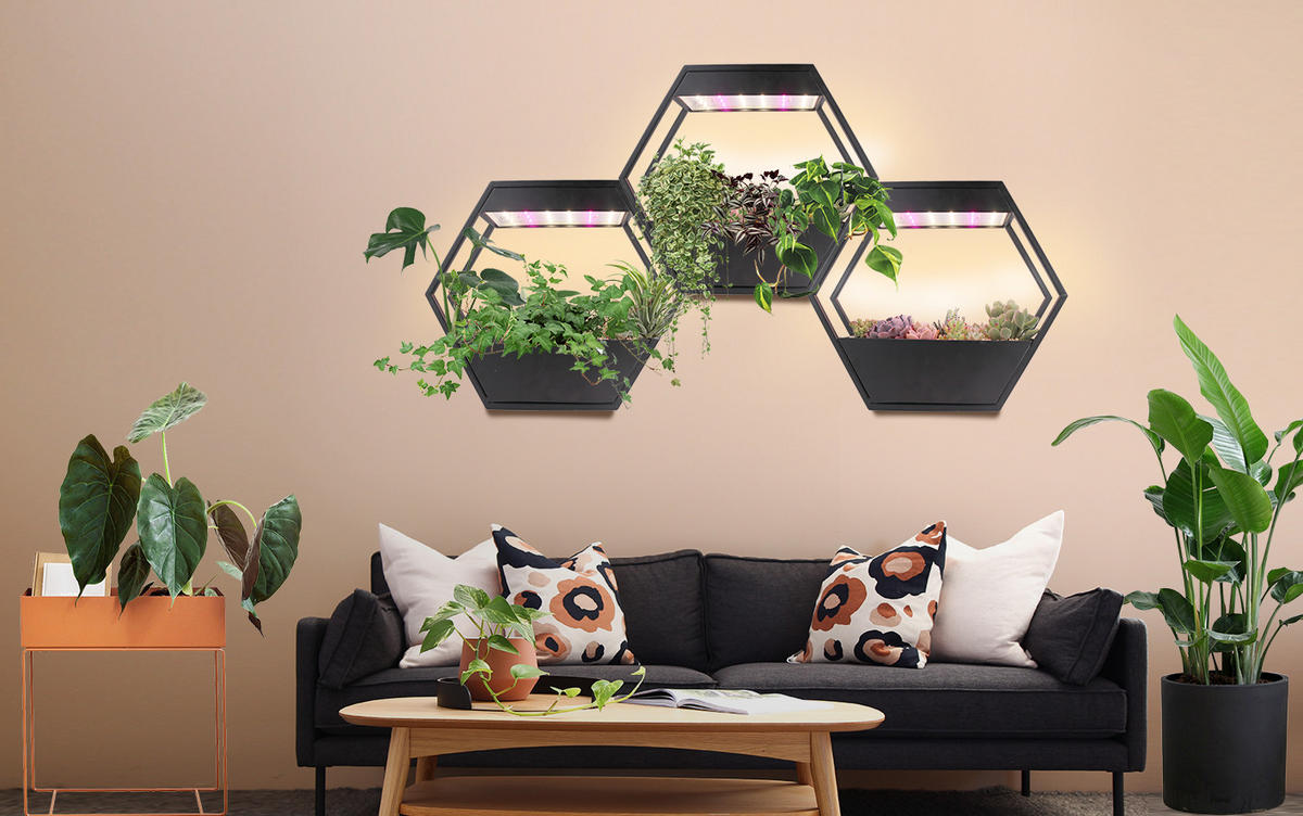 LED-PFLANZENLAMPE - Metallgestell im Industrial-Look mit Timer für Kräutergarten und Innengarten - Schwarz, Metall (37.6/32.5/10cm) - Northpoint