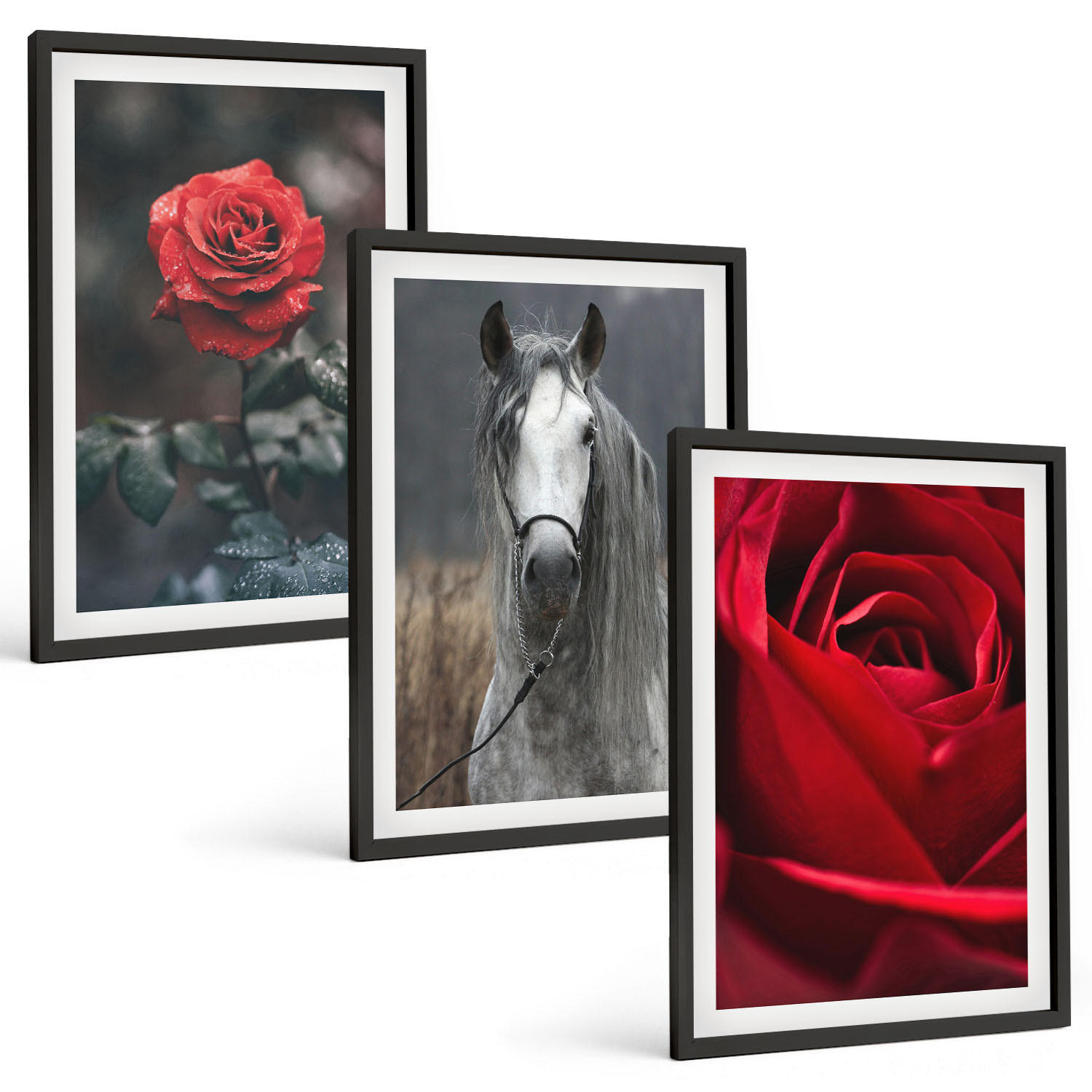 BILDER SET 3er Set - 40x60 cm Schwarzer Rahmen - Rote Rosen, Pferdegrau, Welt - Schwarz, Kunststoff (40/60cm) - TULUP