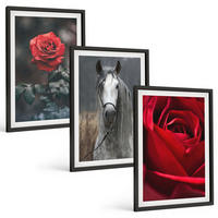 BILDER SET 3er Set - 40x60 cm Schwarzer Rahmen - Rote Rosen, Pferdegrau, Welt - Schwarz, Kunststoff (40/60cm) - TULUP