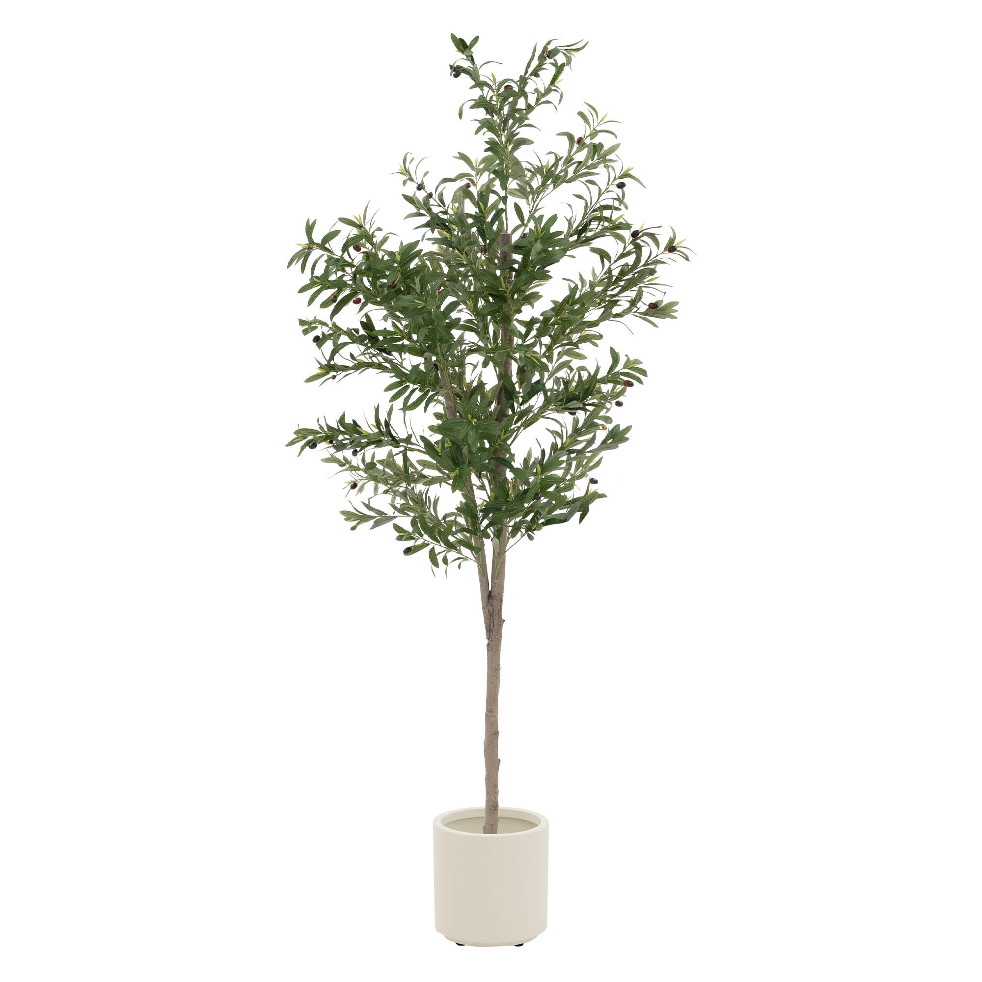 KUNSTPFLANZE Olive - Anthrazit/Grün, Holz/Kunststoff (180cm) - ML-DESIGN