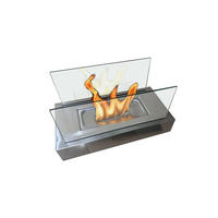 BIOETHANOL-KAMIN Grau Tischmodell inklusive 0.18 L Brennblock - Silberfarben/Grau, Glas (35/15/18cm) - Purline