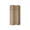 ECKKLEIDERSCHRANK Elena 2D + Schrankaufsatz - Silberfarben/Sonoma Eiche, Holzwerkstoff/Kunststoff (98/246/98cm) - MIRJAN24