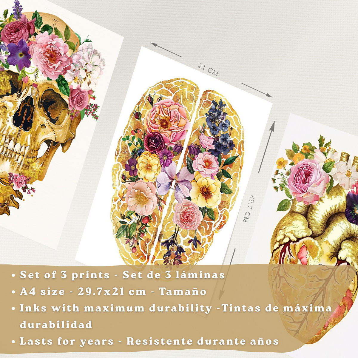POSTER Set aus 3 Anatomie Mensch Drucke und mit Schädel Gehirn und Herz Goldene Florale Künstlerische Illustration Größe Schwarzer Rahmen A4 - Schwarz, Papier (21/29.7/3cm) - Nacnic