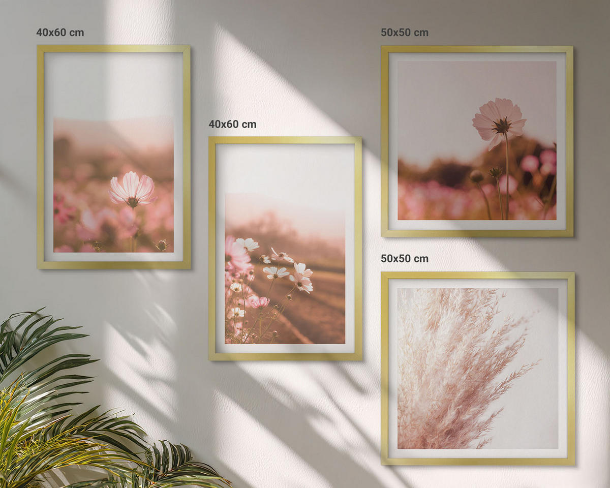BILDER SET 4er Set - 50x50 cm & 40x60 cm Goldrahmen - Wildblumen auf den Wiesen im Sommer - Goldfarben, Kunststoff (50/50cm) - TULUP