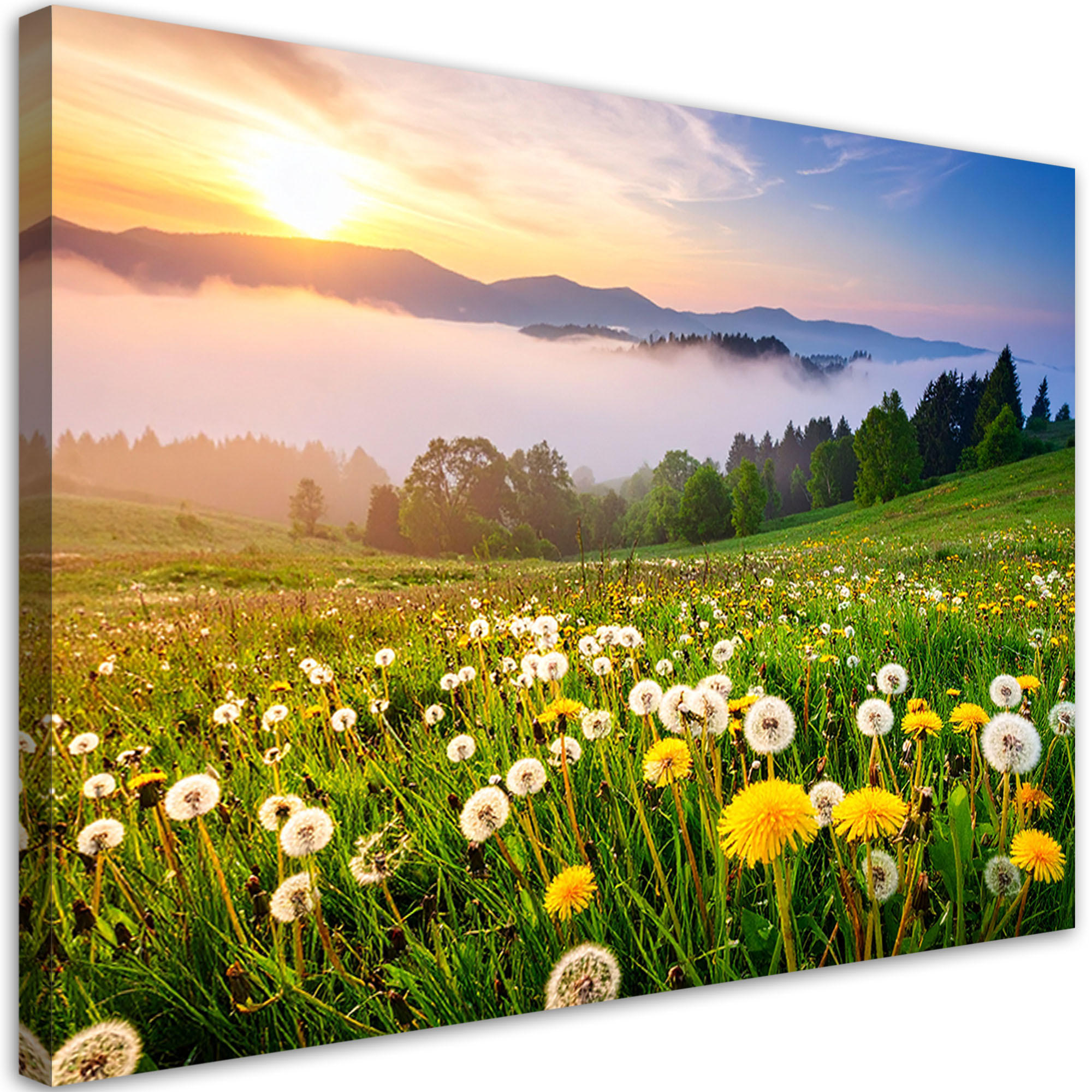 LEINWANDBILD Wiese Löwenzahn Berglandschaft 120x80cm - Grün, Textil (120/80cm) - Feeby