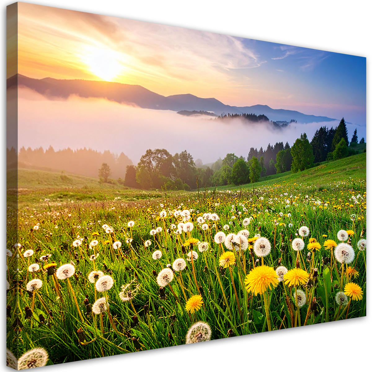 LEINWANDBILD Wiese Löwenzahn Berglandschaft 120x80cm - Grün, Textil (120/80cm) - Feeby