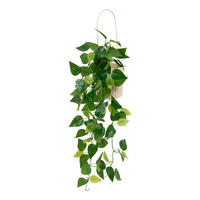 PFLANZE Keramiktopf Poolsie 14/12,5/82 cm - Beige, Keramik (82cm) - Atmosphera Createur d´interieur
