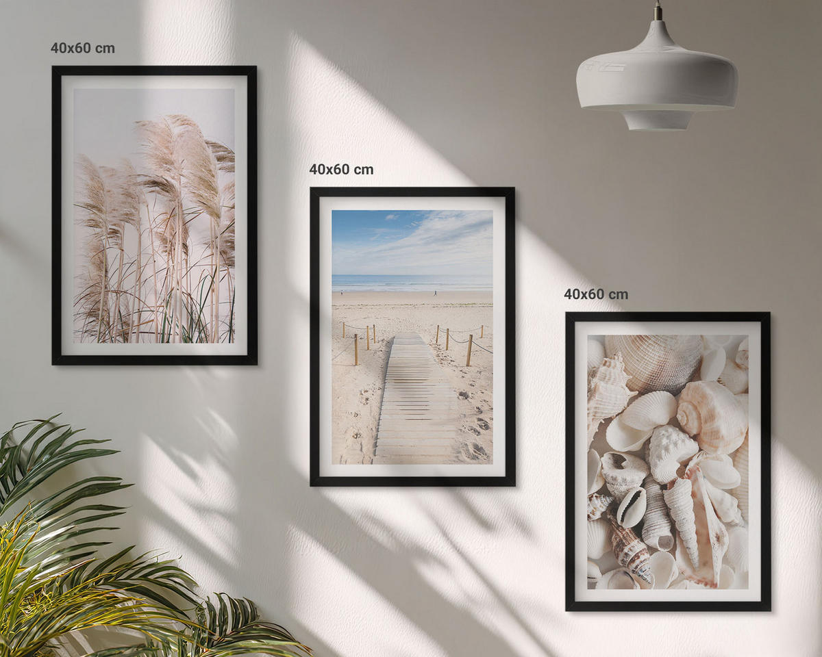 BILDER SET 3er Set - 40x60 cm Schwarzer Rahmen - Strandmuscheln Seegras - Schwarz, Kunststoff (40/60cm) - TULUP