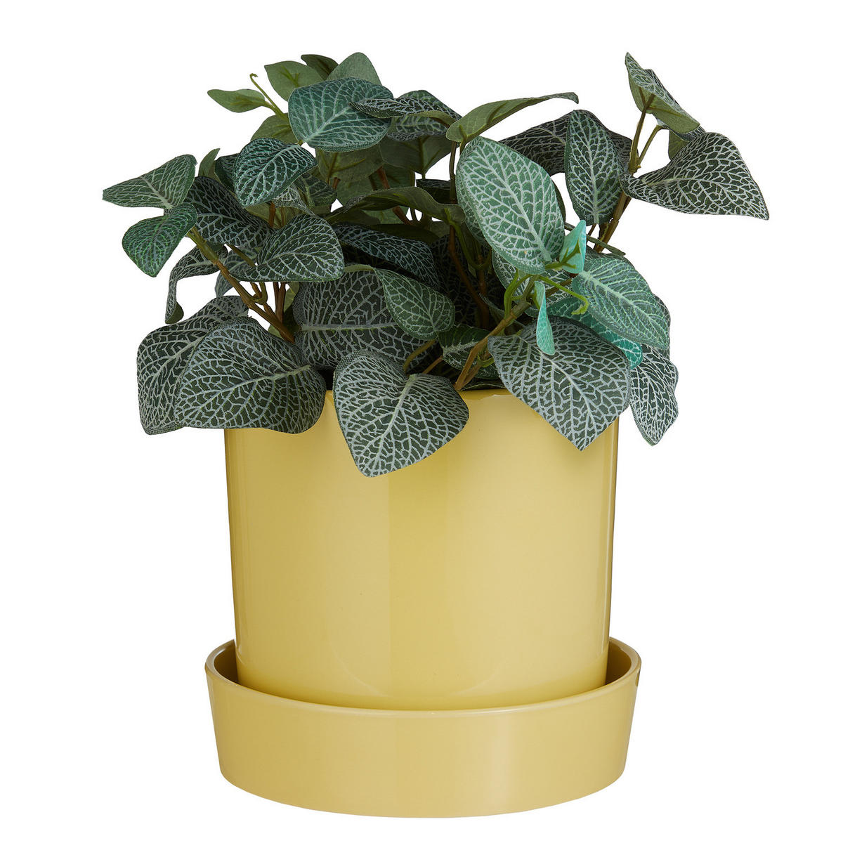 BLUMENTOPF Circus mit Teller - Gelb, Keramik (20cm) - Butlers