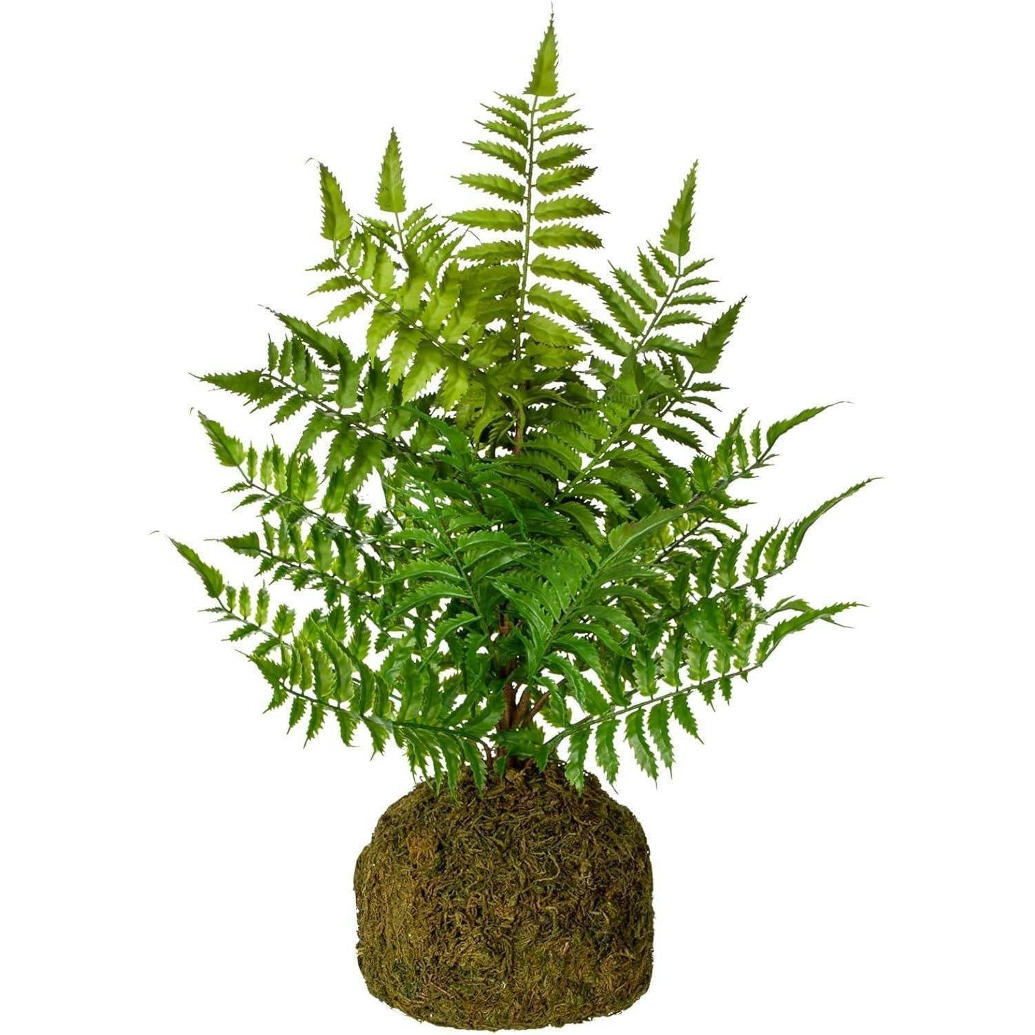 KUNSTPFLANZE Farnbusch 47 cm - Grün, Kunststoff (47cm)