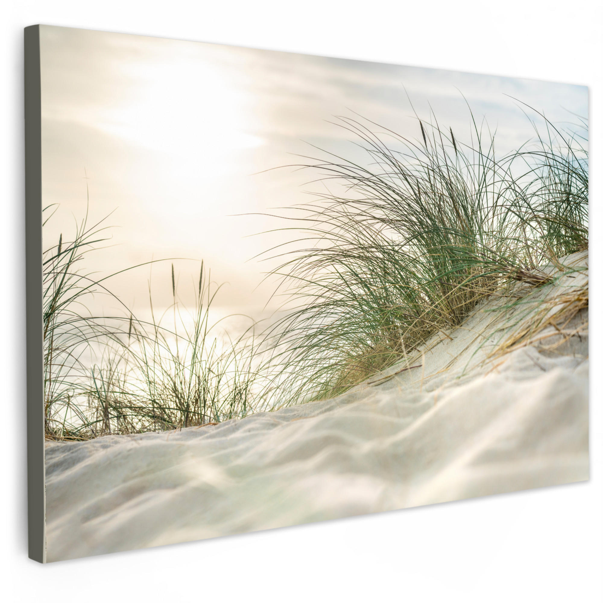 LEINWANDBILD Dünen mit Strandhafer in der Sonne des Nationalparks Schleswig-Holsteinisches Wattenmeer XXL 150x100 cm - Creme, Textil (150/100cm) - MuchoWow