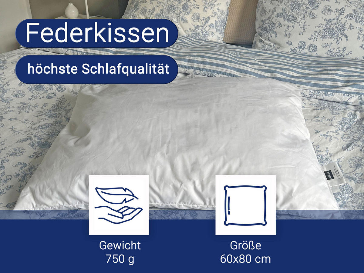 KISSEN, 60x80 cm, 85% Federn, 15% Daune - Weiß, Kunststoff (60/80cm) - Zollner