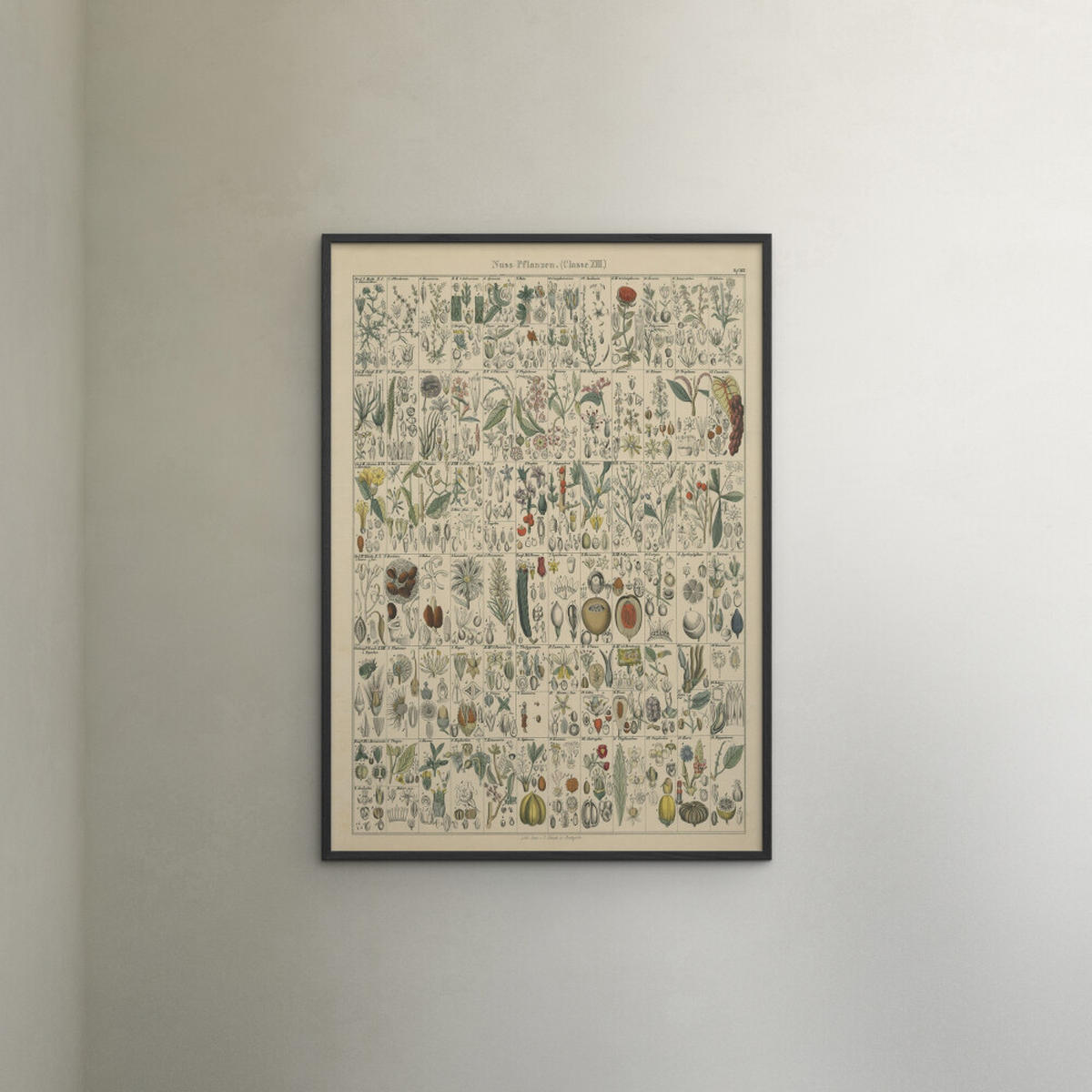 POSTER mit Rahmen Wild Apple - Flora Chart II - Schwarz/Grün, Holz/Papier (50/70cm) - Poster&Frame