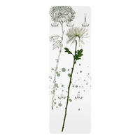 WANDGARDEROBE - Botanisches Aquarell - Löwenzahn 34/105 cm - Weiß, Holzwerkstoff (34/105/1.6cm) - Bilderwelten