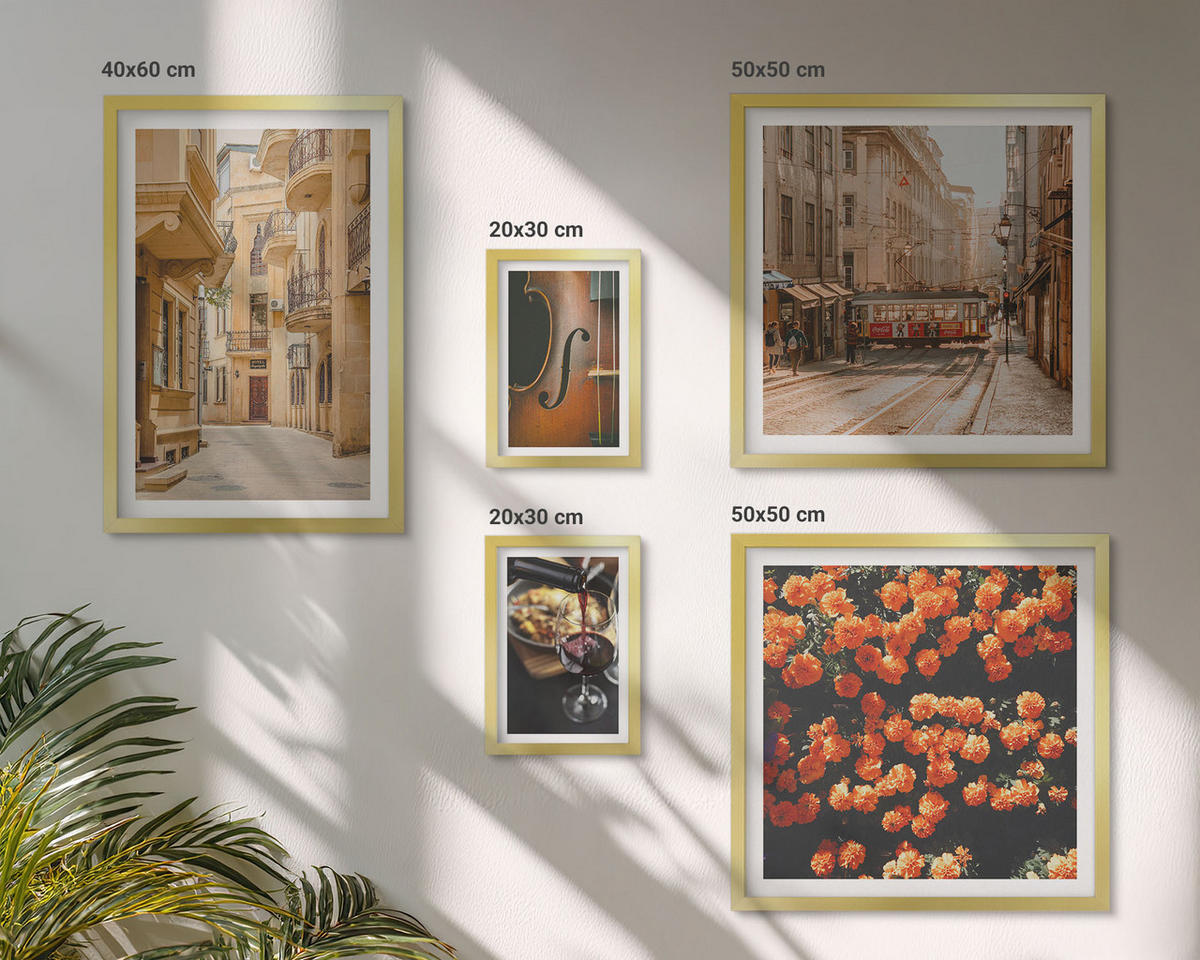 BILDER SET 5er Set - 50x50 cm & 20x30 cm & 40x60 cm Goldrahmen - Vintage Blumen Straße Wein Geige - Goldfarben, Kunststoff (40/60cm) - TULUP