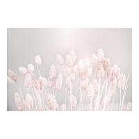 FOTOTAPETE Helles Gras im Sonnenlicht 288/190 cm - Eichefarben, Papier (288/190cm) - Bilderwelten