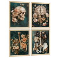 POSTER Set aus 4 Anatomie Mensch Drucke und Wandbilder mit Schädel Gehirn Lungen Luftröhre Bronchien Becken Wirbelsäule Florales Größe Rahmenlos A3 - Klar, Papier (29.7/42/3cm) - Nacnic