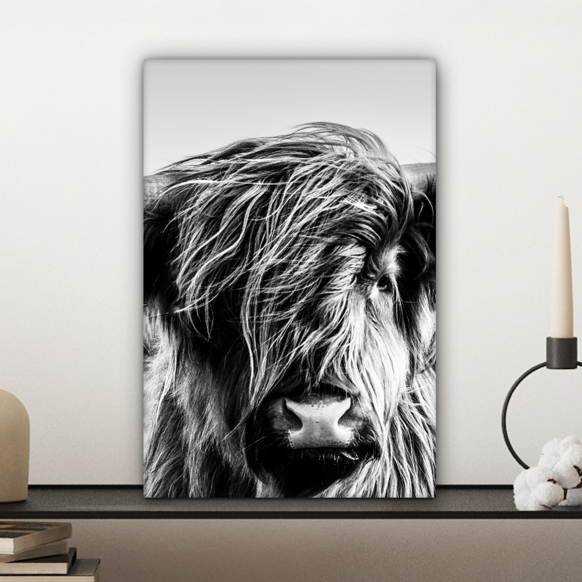 LEINWANDBILD Kuh - Schottischer Hochländer - Schwarz - Weiß - Tier - Natur - Wildtiere 20x30 cm - Schwarz, Textil (20/30cm) - MuchoWow