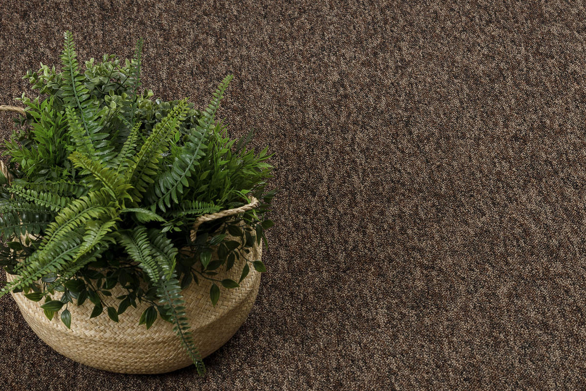 TEPPICH rund SUPERSTAR 133 cm - Braun, Textil (133/133cm) - rugsX