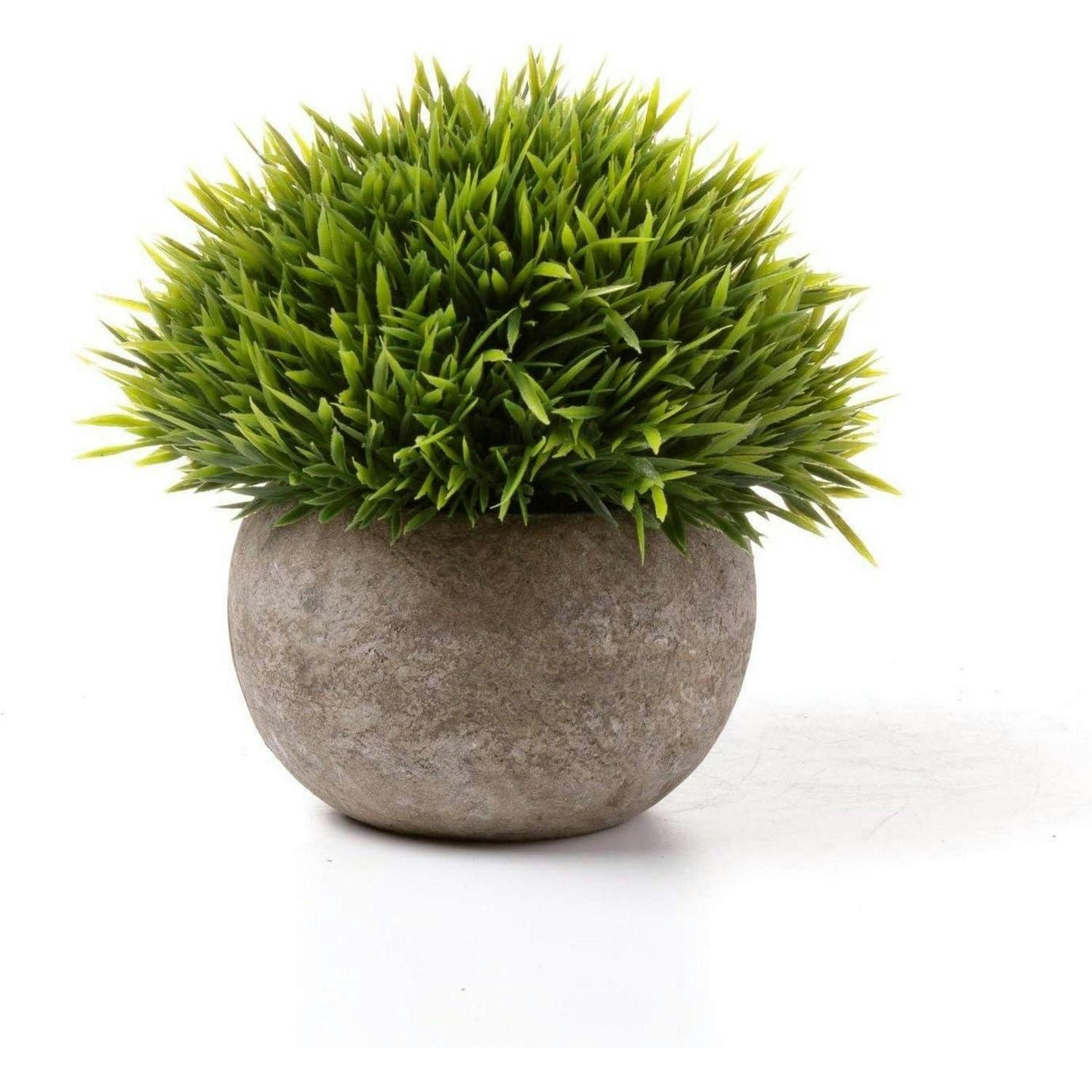 KÜNSTLICHE Topfpflanze Gras Bonsai 6er-Set Beton-Optik - Grün, Kunststoff (12.5cm)