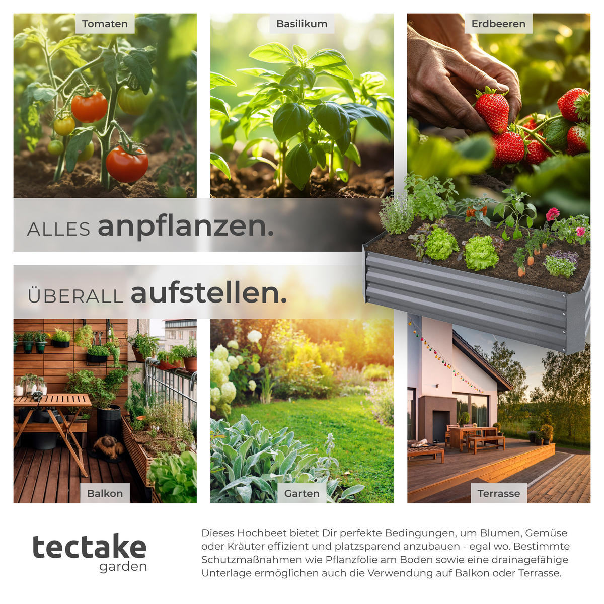 HOCHBEET Pimpinella,120 x 60 x 30 cm,grau - Grau, Metall (60/30/120cm) - tectake