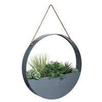 KUNSTPFLANZEN Hängedeko mit Metallring 64/6/64 cm - Grau, Metall (64cm) - Atmosphera Createur d´interieur