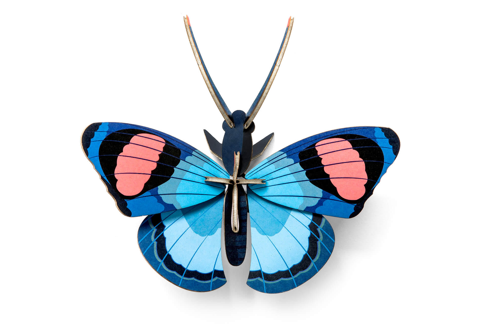 WANDDEKO Pfauenauge 16/6 cm - Blau/Pink, Wellpappe (16/6/17cm) - KUNSTLOFT