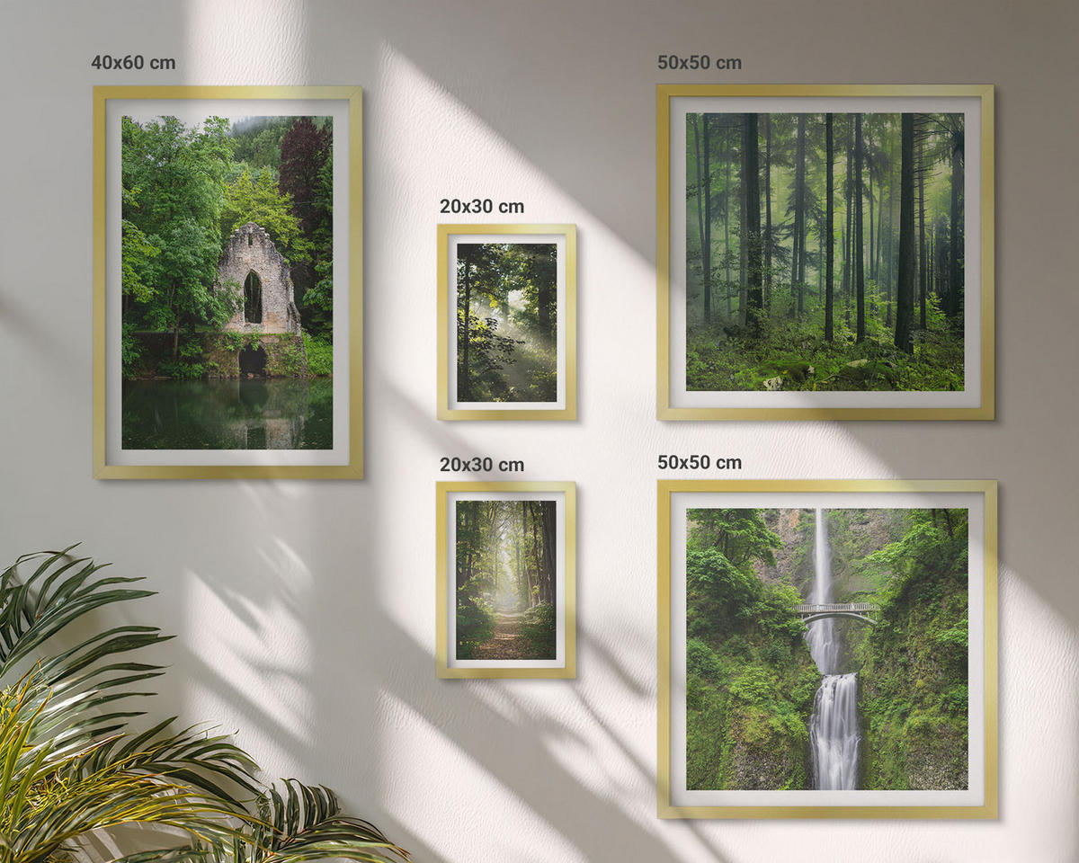 WANDBILDER 5er Set - 50x50 cm & 20x30 cm & 40x60 cm Goldrahmen - Grüne Wälder, Lichtstrahlen - Goldfarben, Kunststoff (40/60cm) - ArtPrintCave