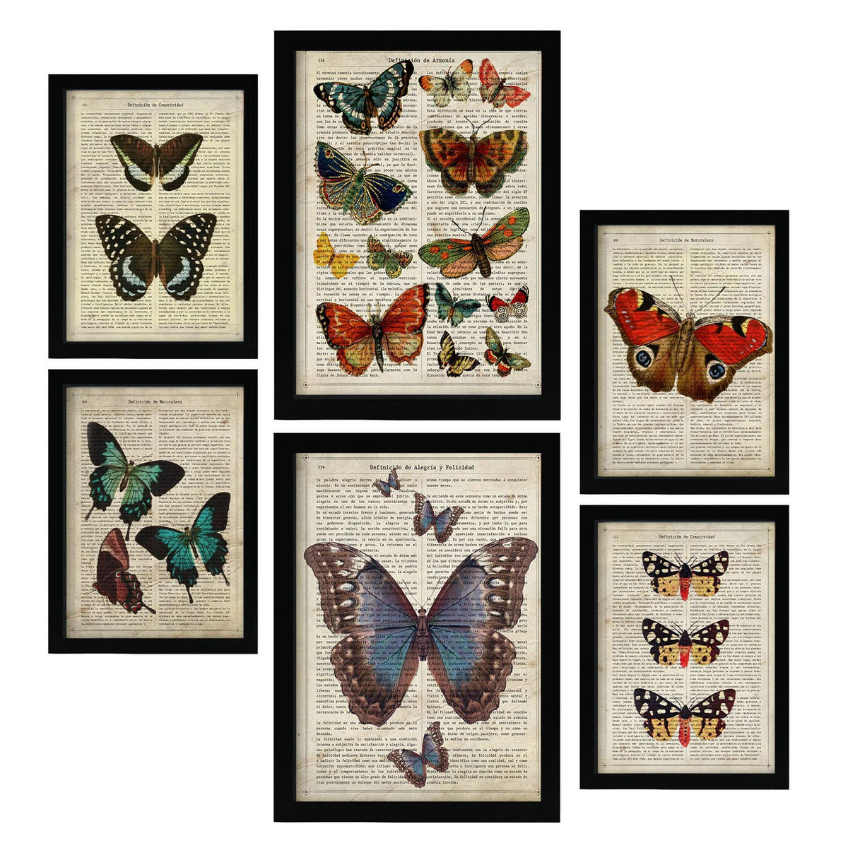 POSTER Set Mit 6 Schmetterling Größe A3 & A4 Schwarzer Rahmen - Schwarz, Papier (29.7/1cm) - Nacnic