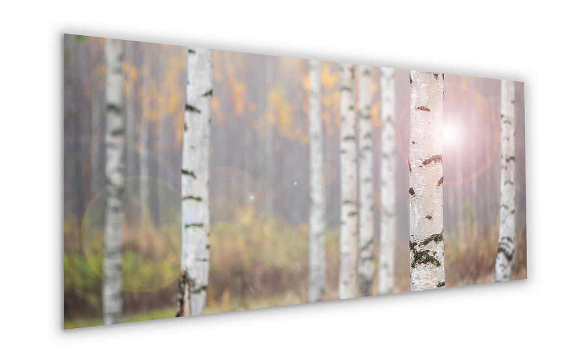 GLASBILD 125x50 cm Landschaft Wald beige - Beige, Glas (125/50cm) - artissimo