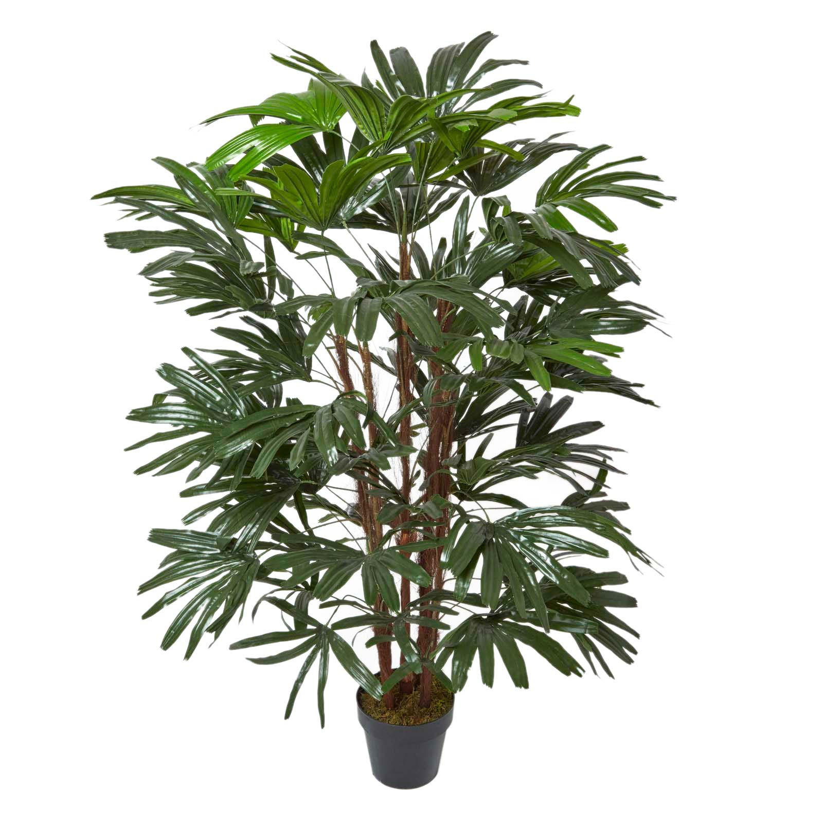 KUNSTPALME Rhapis, 150 cm - Grün, Kunststoff (150cm) - Homescapes