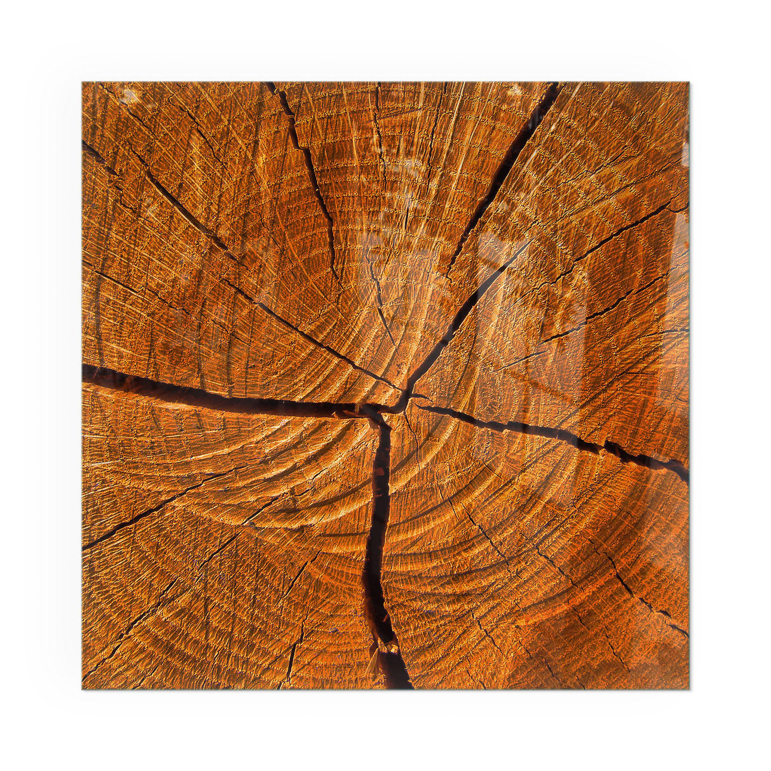 GLASPLATTE für Kamin 50x50 cm - Orange, Glas (50/50/0.4cm) - TULUP