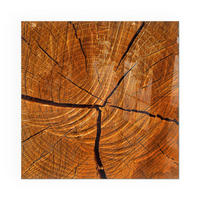 GLASPLATTE für Kamin 50x50 cm - Orange, Glas (50/50/0.4cm) - TULUP