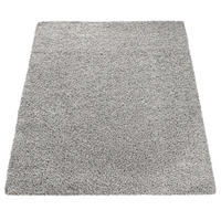 HOCHFLORTEPPICH 120/170 cm Sky 250 - Grau, Kunststoff (120/170cm) - Paco Home
