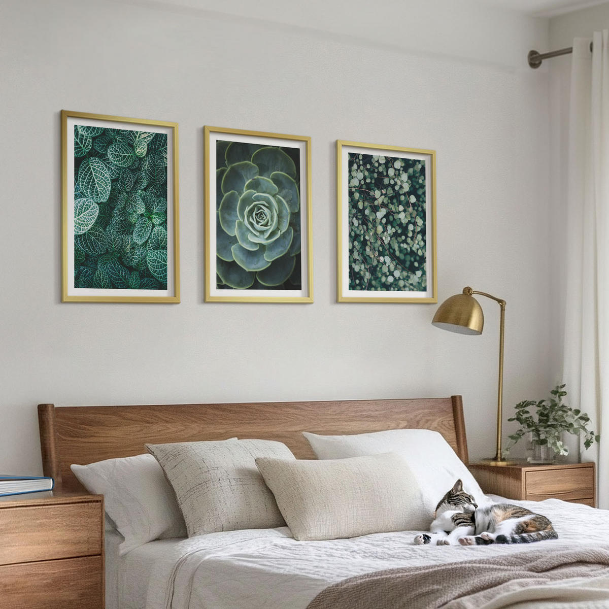 BILDER SET 3er Set - 40x60 cm Goldrahmen - Sukkulenten - Goldfarben, Kunststoff (40/60cm) - TULUP