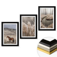 WANDBILDER 3er-Set - 20x30 cm Schwarzer Rahmen - Pferde, Landschaft, Gras, Bach - Schwarz, Kunststoff (20/30cm) - ArtPrintCave