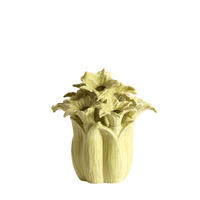 VASE Sampaga - Grün - 26.5/26.5/28 cm - Grün, Keramik (28cm) - Light & Living